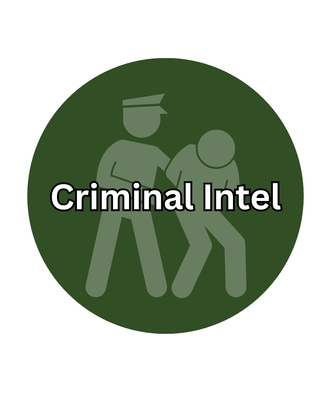 Criminal Intel